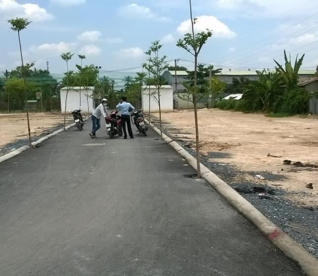 Cần bán gấp đất đường Trịnh Quang Nghị gần UBND xã Phong Phú, Bình Chánh, chỉ 650tr, có SHR