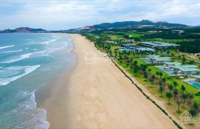 Bán đất nền biển Nhơn Lý, Quy Nhơn, diện tích 250 m2, giá 14 tr/m2, tặng ngay 400 triệu tiền mặt