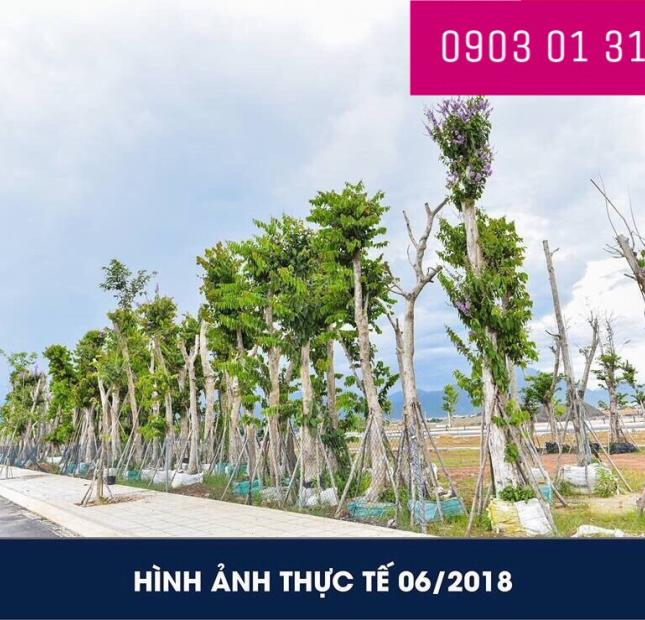 Đất trung tâm TP Đà Nẵng, đầu tư không rủi ro, thanh khoản nhanh, lợi nhuận cao, LH 0903 01 31 67.