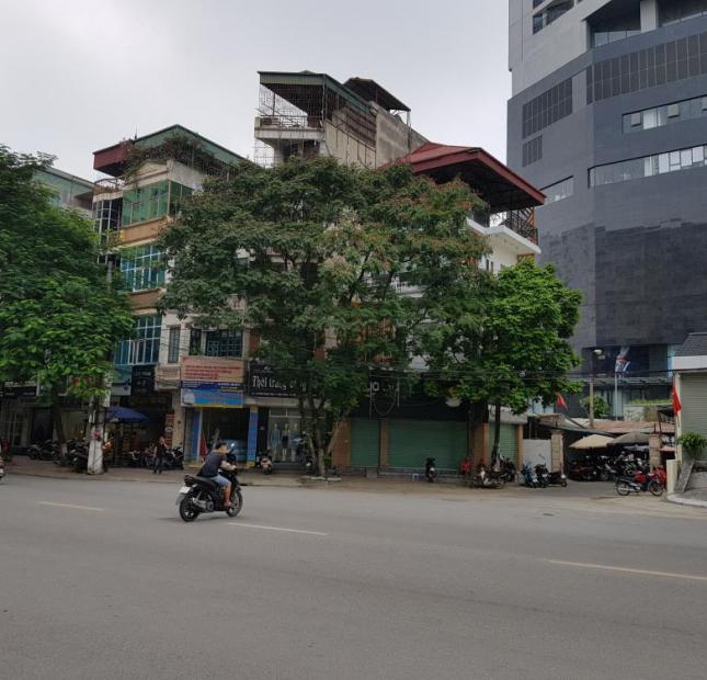 Căn góc, vị trí đẹp, mặt tiền rộng 12m, cho thuê nhà mặt phố Trần Đăng Ninh, diện tích 50m2 x 4T