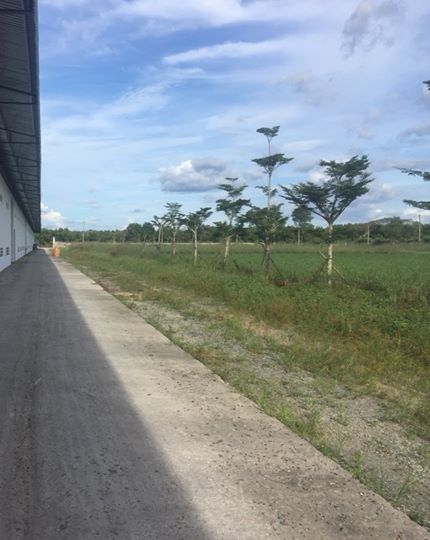 Sở hữu đất nền siêu lợi nhuận gần sân bay QT Long Thành