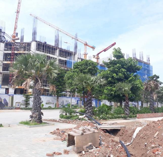 Siêu bão dự án Chung cư Thanh Trì, Chỉ với 1 tỷ sở hữu căn hộ 2pn
