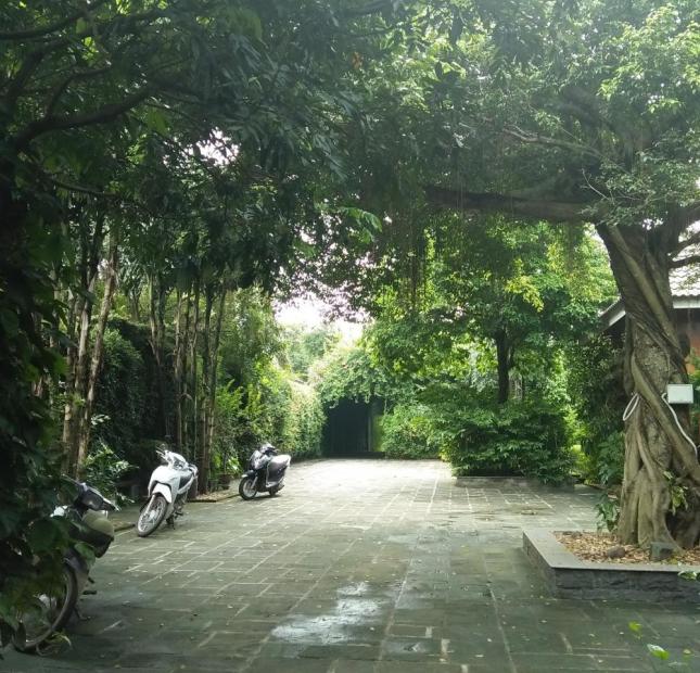 Cần nhượng lại 3300m2 khuôn viên trang nhà vườn hoàn thiện đẹp tại Phú cát, Quốc Oai, Hà N