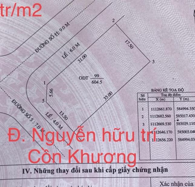 Bán nền biệt thự góc 2 mặt tiền đường nguyễn hữu trí, cồn khương, vạn phát, quận ninh kiều . tdt 604.5m2 . Giá 7.5 tỷ . Thổ cư 100%