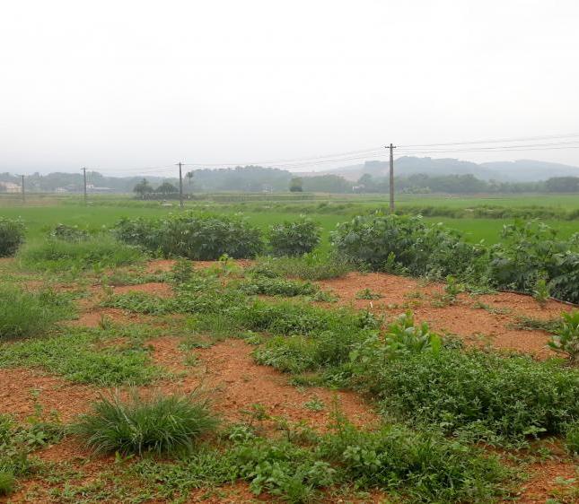 Cần bán 800m2 đất thổ cư, view cánh đồng xã Cư Yên