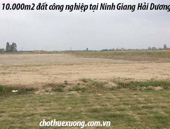 Bán đất nền dự án tại Ninh Giang,  Hải Dương diện tích 10000m2  giá 4 Tỷ