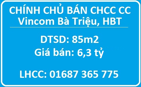 Chính chủ bán CHCC Vincom Bà Triệu, 6,3 tỷ, 01687365775