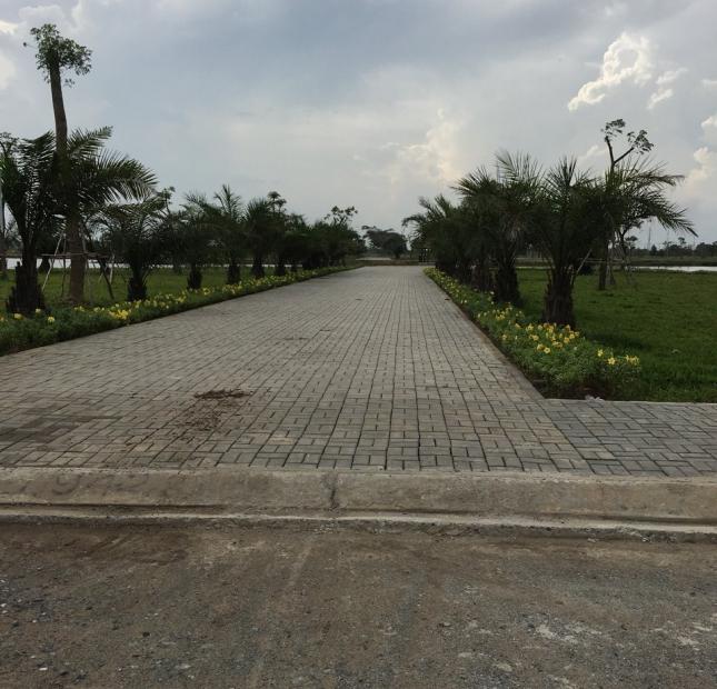 Bán gấp 3 lô đất tại dự án mặt tiền Tỉnh Lộ 823 Sài Gòn Eco Lake