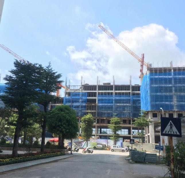 Chiết khấu 5% khi mua chung cư Tecco Skyville Tower, Thanh Trì