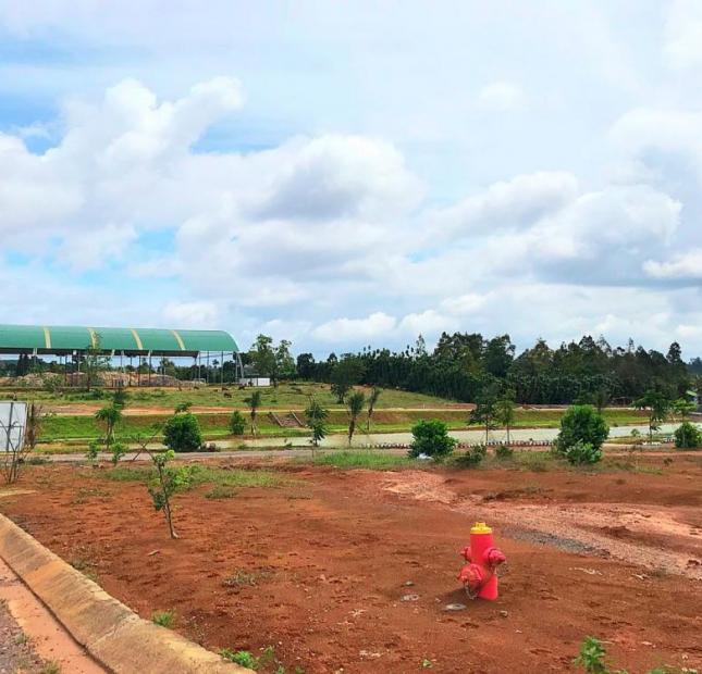 Những lô đẹp giá phù hợp đầu tư dự án tại Phường Lộc Sơn, Bảo Lộc, Lâm Đồng