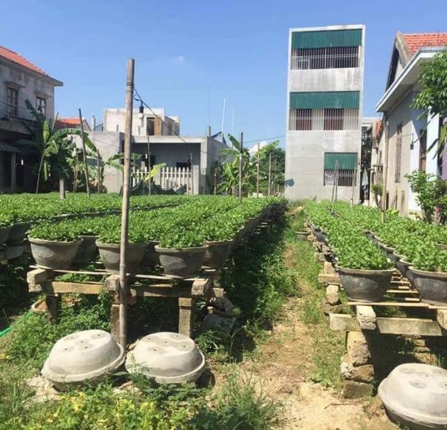 ​Bán đất Ngọc Anh, xã Phú Thượng, huyện Phú Vang. Khổ vừa 119m2, giá cực tốt