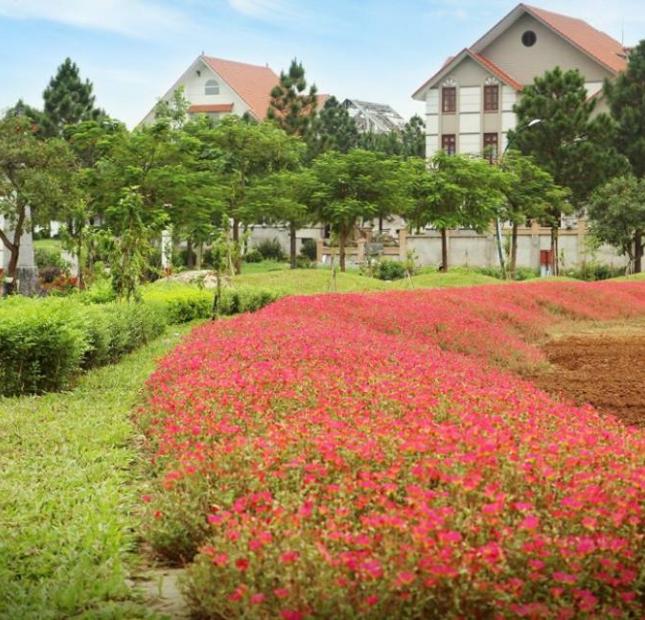 Bán đất 200m2 (8x25m) khu đô thị sinh thái Đan Phượng, Hà Nội