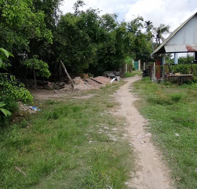 Bán đất thổ cư xây trọ sát KCN Trảng Bàng, Tây Ninh
