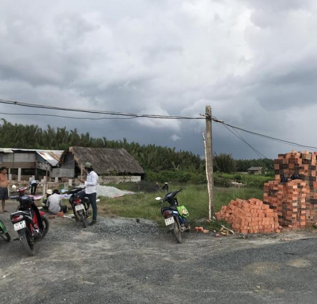Chính chủ cần bán đất lúa mặt tiền Nguyễn Văn Tạo nối dài