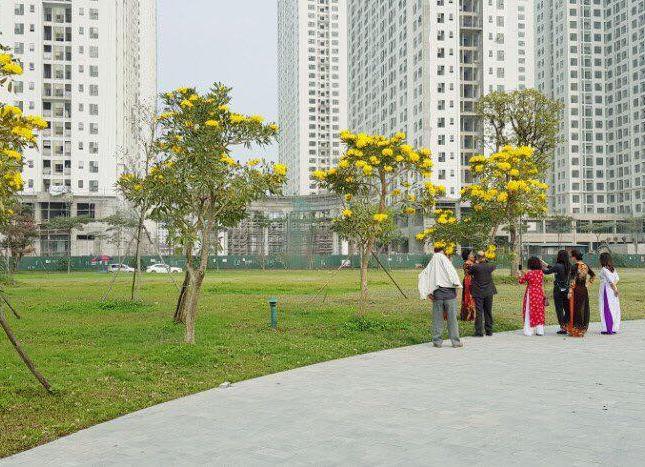 Các căn hộ chuyển nhượng giá chỉ từ 2,2 tỷ tại dự án An Bình City - lh: 0985670160