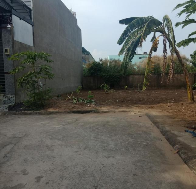 Đất sổ riêng, 83m2, hẻm xe hơi, Nguyễn Văn Tạo, Nhà Bè