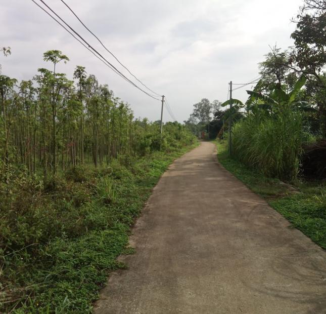 407m2 đất mặt tiền đường bê tông 20m xã xuân bảo huyện cẩm mỹ