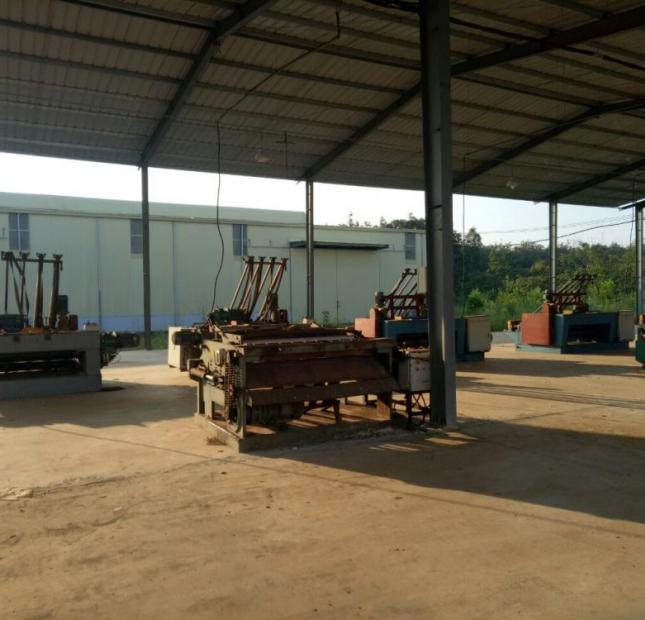 Bán nhà xưởng công ty tại Tân Phước, Đồng Phú, Bình Phước