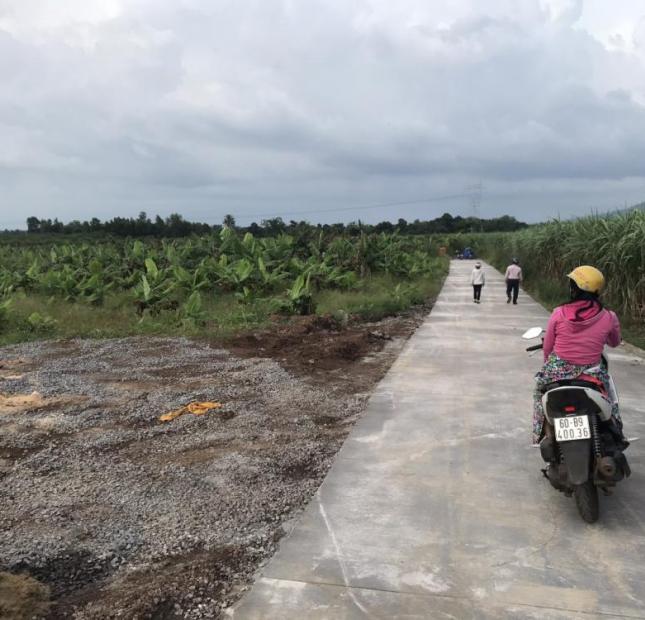 Mở bán dự án mới khu dân cư Lộc Thịnh, Hưng Lộc liền kề QL 1A