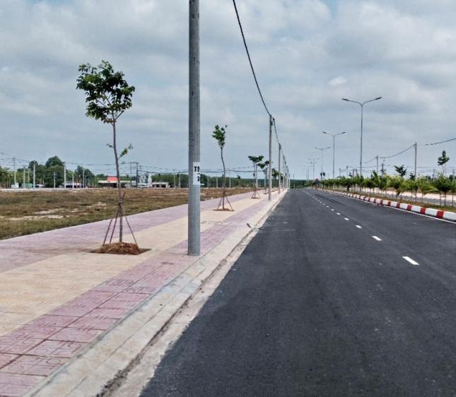 Đất Mặt tiền Đường DT 769, Xã Lộc An, Huyện Long Thành, Tỉnh Đồng Nai, gần UBND Lộc An