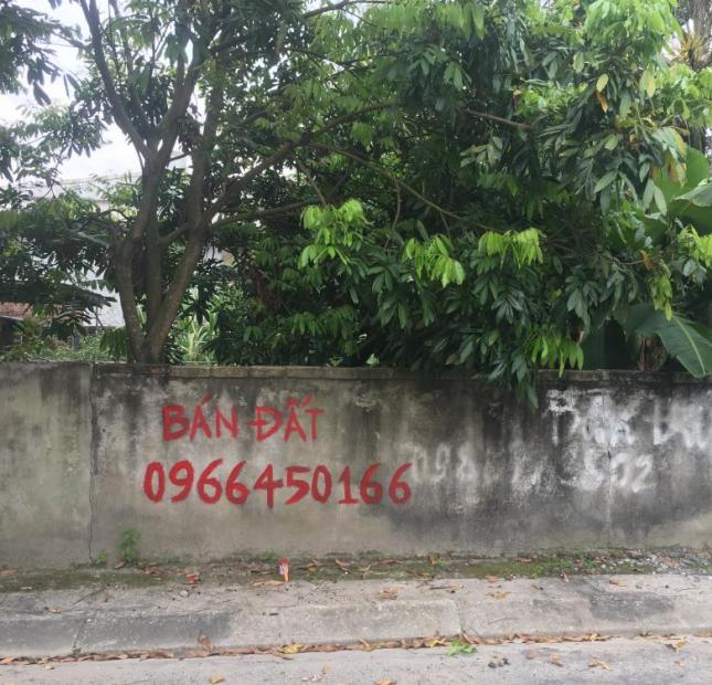 Cần bán đất mặt đường Tân Vũ 2, Tràng Cát, Hải An, Hải Phòng