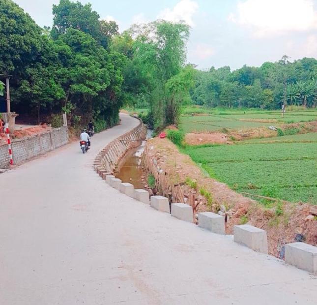 Bán đất tại Phường Thủy Xuân, Huế,  Thừa Thiên Huế diện tích 140m2  giá 625 Triệu