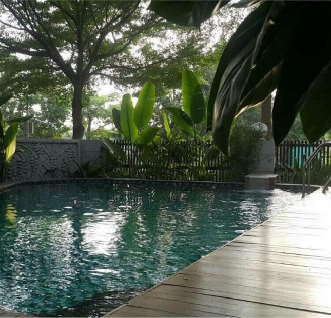 Cho thuê biệt thự đơn lập Phú Mỹ Hưng có hồ bơi, giá chỉ 71 triệu/tháng