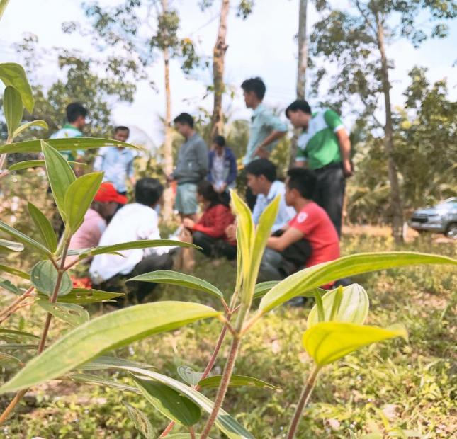 Bán đất giá rẻ ở Dầu Tiếng Bình Dương đầu tư sinh lời hoặc làm của đều hợp lý