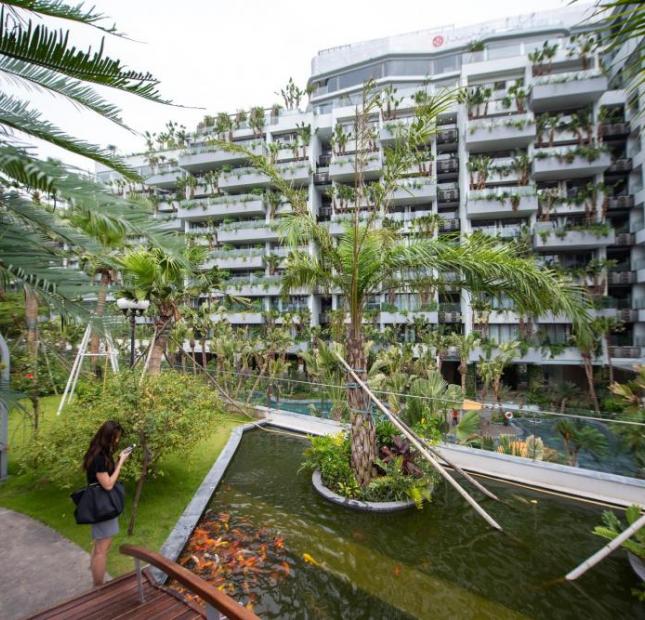 CC  bán gấp căn hộ biệt thự trên cao Flamingo Đại Lải Resort, DT: 40m2 có sân vườn - giá 1,9 tỷ