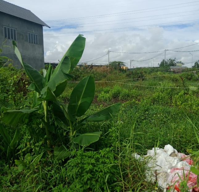 Chủ cần tiền nên bán gấp lô đất ở vòng xoay Phú Hữu,quận 9