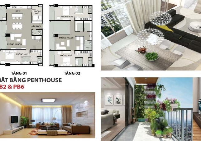 Trải nghiệm không gian sống mà cả thành phố nằm dưới chân bạn, duy nhất 6 căn Penthouse Đà Nẵng