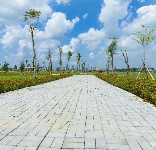 Dự án Saphia Villas Hòn Ngọc trong lòng TP Hồ Chí Minh