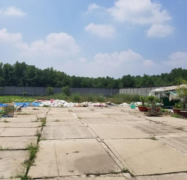 Bán đất gần sân bay Long Thành, đường nhựa 8m, tường rào kiên cố, sổ đỏ 1,8tr/m2