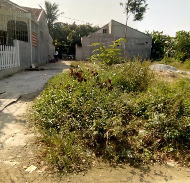 Bán đất tại Đường Nguyễn Hoàng, Huế, Thừa Thiên Huế diện tích 114m2 giá 800 Triệu