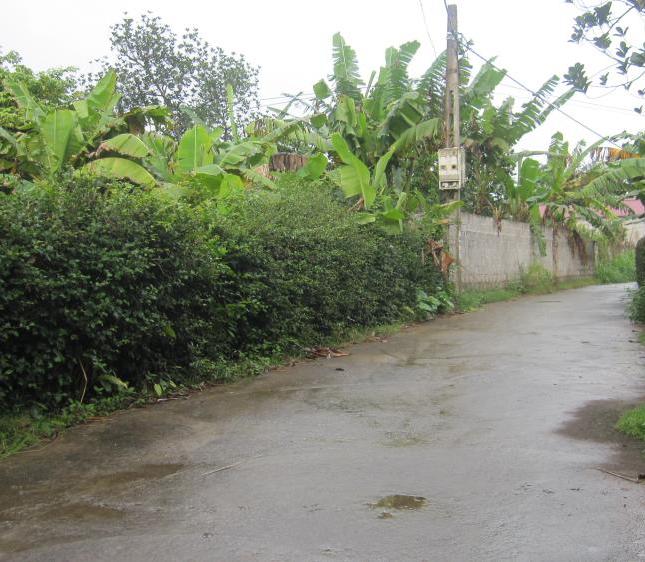 Bán đất vườn, nhà tại quê xã Nguyên Lý, huyện Lý Nhân, tỉnh Hà Nam