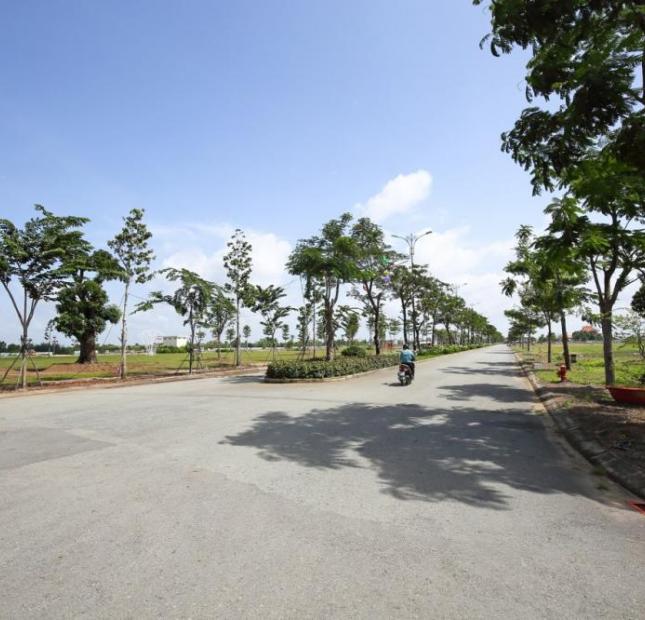Bán gấp lô đất 5x19m KDC Nguyễn Trung Trực, Bình Chánh , Sổ Riêng, giá 790 triệu 