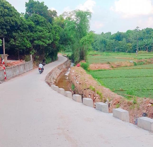 Bán đất tại đường Lê Ngô Cát, Huế, Thừa Thiên Huế, diện tích 140m2, giá chỉ 625tr