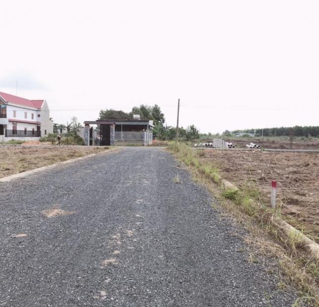 Đất Tam Phước, ngay đại lộ Bắc Sơn, Long Thành, gần dự án Kim Oanh có 300m2 thổ cư, đường 8m