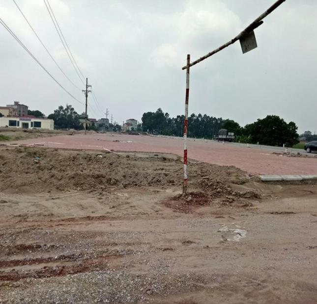 Bán đất mặt đường Quốc Lộ 38 dự án KĐT Làng Cả Đông Côi huyện Thuận Thành