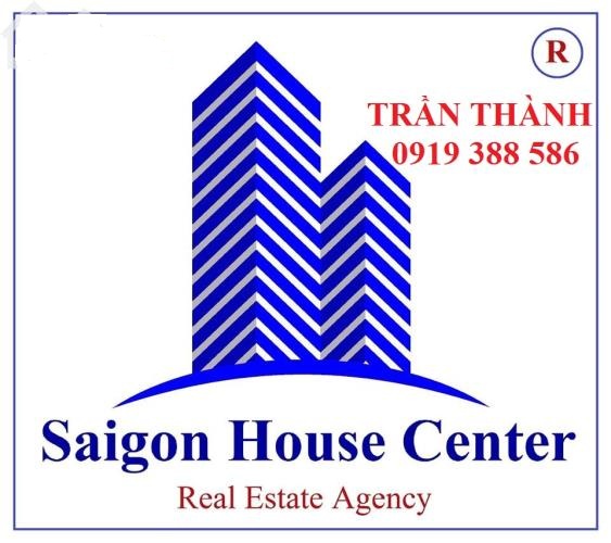 Bán gấp biệt thự siêu đẹp đường Phan Kế Bính, sang trọng bậc nhất trung tâm Quận 1. DT 13x14.5m