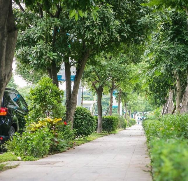 Hot chính sách mới nhất về dự án Hồng Hà Eco City, căn 1,2,8,9. Hotline 0961556955