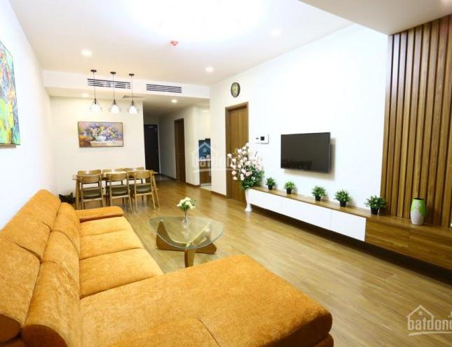 Chính chủ cho thuê căn hộ chung cư Times City - 458 Minh Khai, DT 112m2, 3PN, full đồ, giá 15tr/th