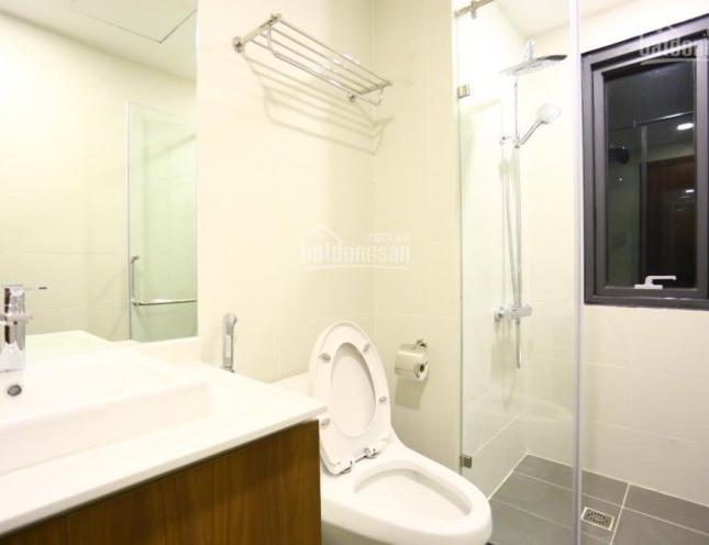 Chính chủ cho thuê căn hộ chung cư Times City - 458 Minh Khai, DT 112m2, 3PN, full đồ, giá 15tr/th