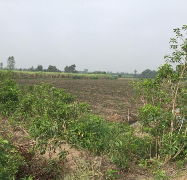 Bán nhanh lô đất thuộc ấp 3, xã Tân Thành, huyện Thủ Thừa, Long An 