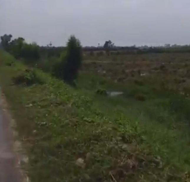 Bán 12ha (12 mẫu) đất mặt tiền Quốc lộ N2 thuộc thị trấn Tân Thạnh, tỉnh Long An