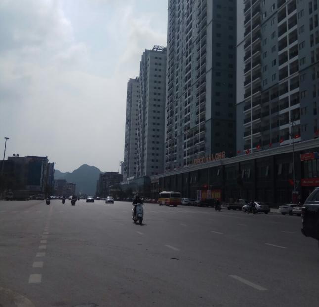 Chuyên cho thuê căn hộ chung cư tại thành phố Hạ Long. LH 0901.820.565