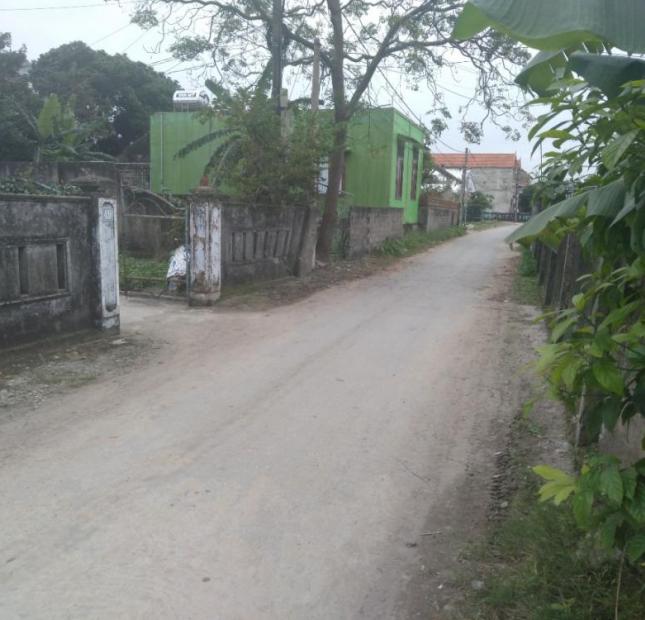 Đường Ngô Đức Kế, xã Đức Ninh, TP Đồng Hới, Quảng Bình 