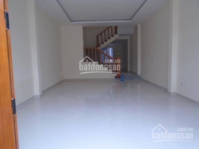 Cho thuê nhà phố Hào Nam, DT 53m2, 10 tầng, MT 5.3m