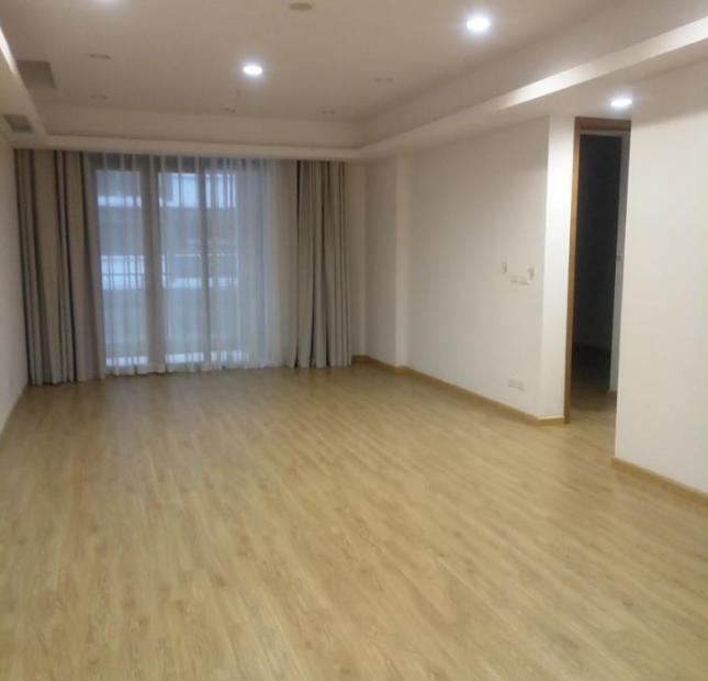 Cho thuê căn hộ chung cư Dolphin Plaza, Trần Bình, 2PN sáng, nội thất cơ bản, giá 14tr/th