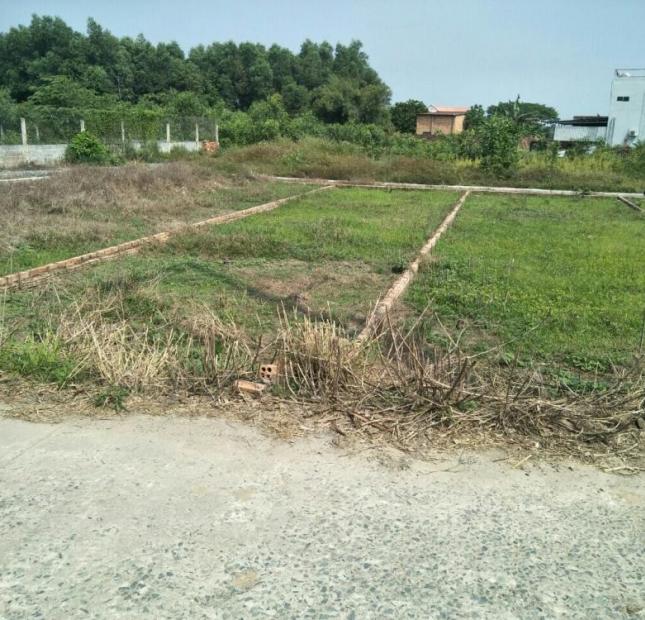 Bán đất nền dự án tại đường Hương Lộ 15, Vĩnh Cửu, Đồng Nai, diện tích 100m2, giá 330 triệu